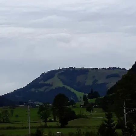 Holiday home Ferienhaus Eder Leogang